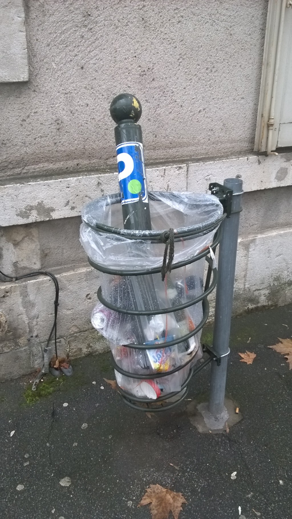 Dans la ville, il y a des cactus, moi je me pique de le&nbsp;savoir